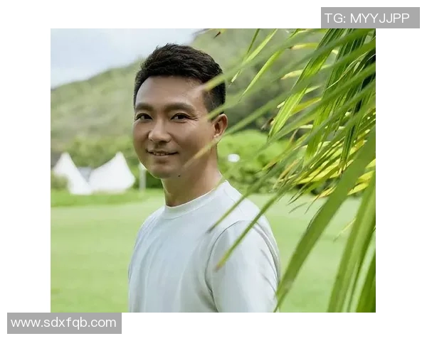 篮球明星洪涛的传奇之路与辉煌成就揭秘